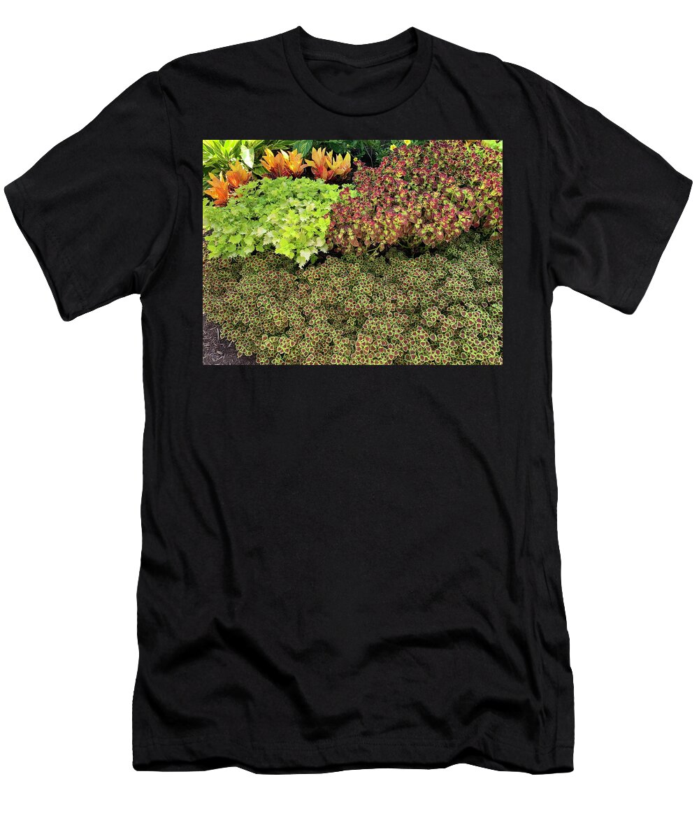 Flower T-Shirt featuring the photograph Flower Power by Lee Darnell