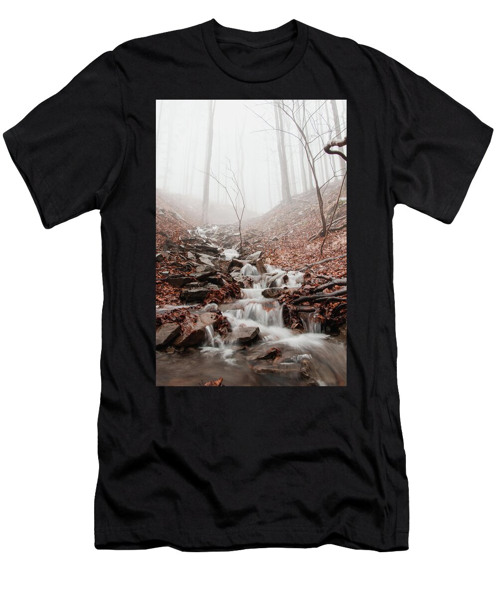 Foggy T-Shirt featuring the photograph Foggy morning in a deciduous forest by Vaclav Sonnek