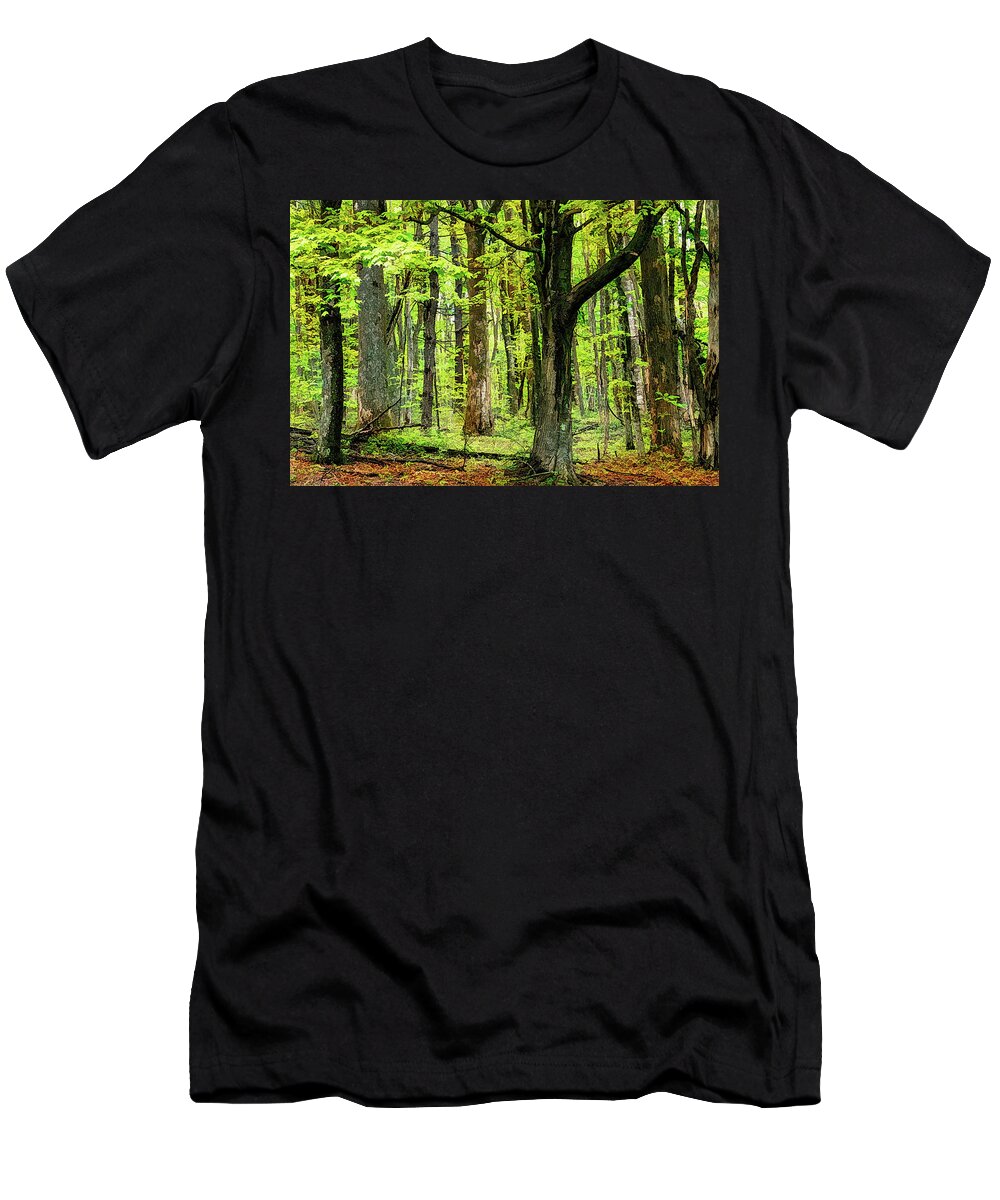 Mountains T-Shirt featuring the photograph Forest Floor Spring Trees fx 503 by Dan Carmichael