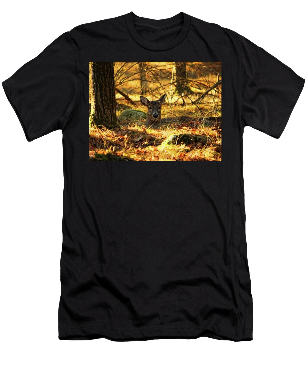 Wildlife T-Shirt featuring the photograph Future Prince Of The Forest by Dale Kauzlaric