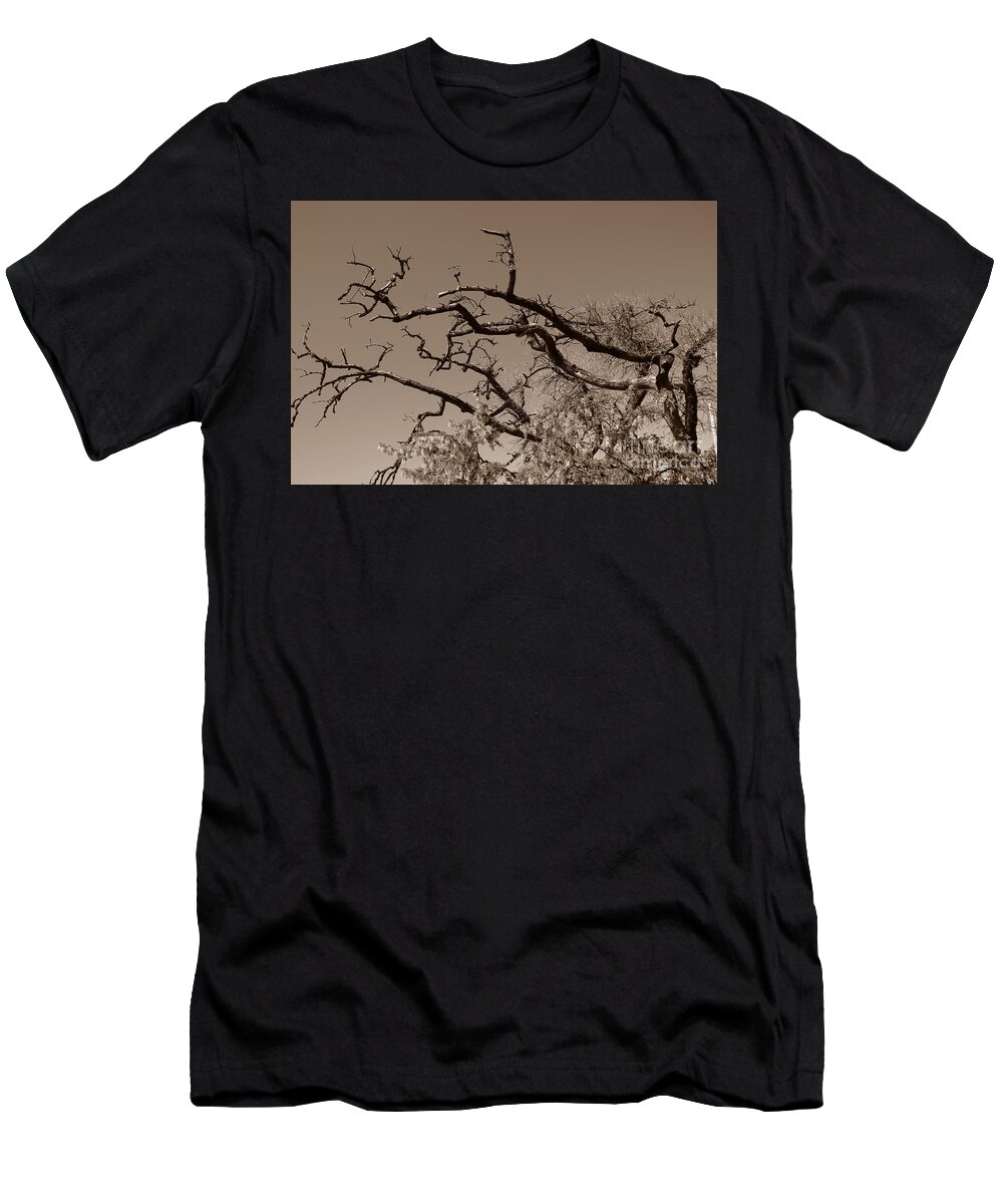Branches T-Shirt featuring the photograph Gnarled Old Hands by Kimberly Furey