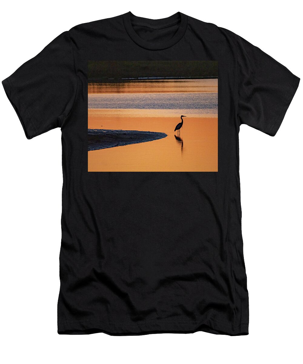 Sunrise T-Shirt featuring the photograph Golden Morning by Jerry Connally