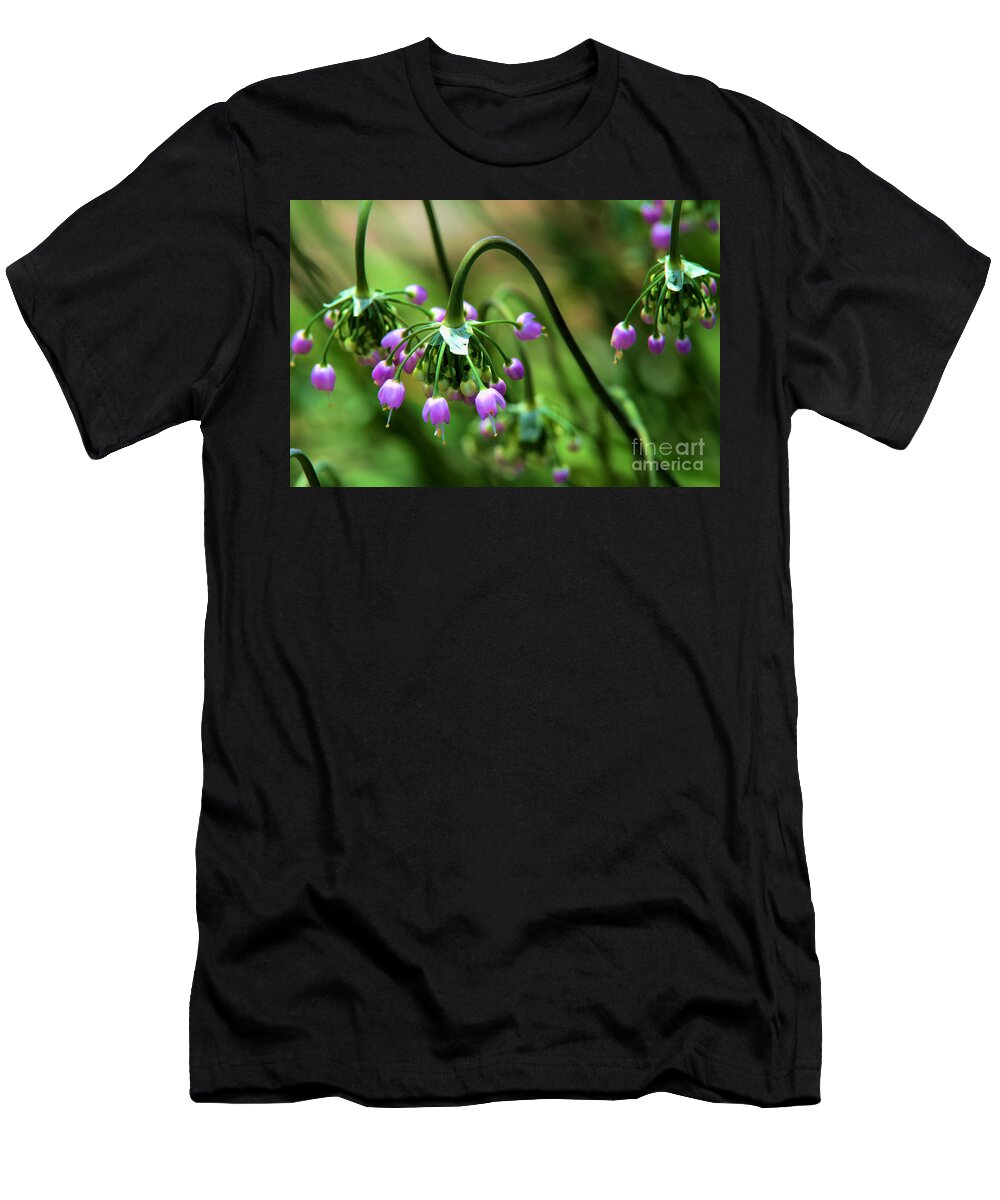 Allium T-Shirt featuring the photograph Graceful Stem and blooms by Kae Cheatham