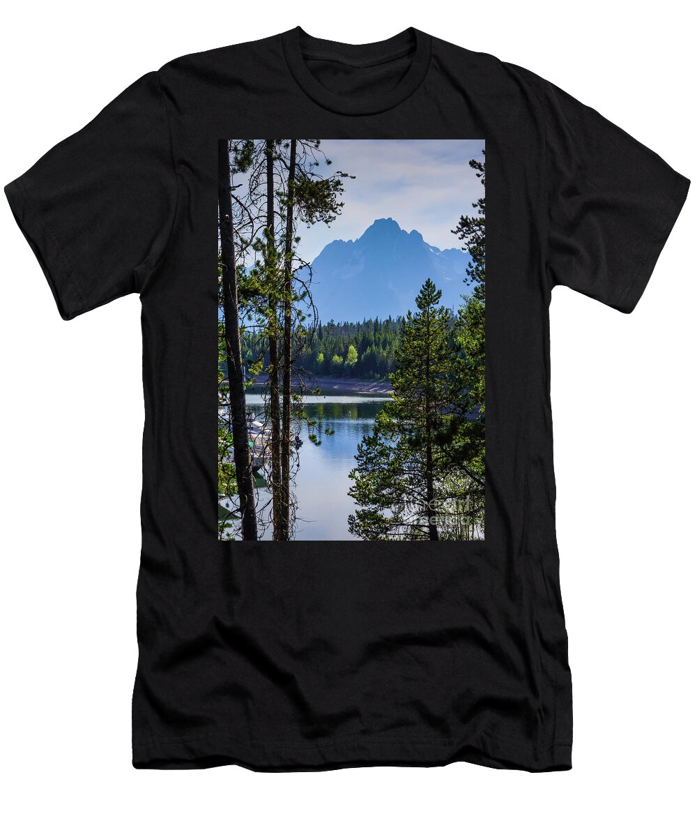 Grand Tetons T-Shirt featuring the photograph Grand Teton Framed by Cedars by Jennifer White