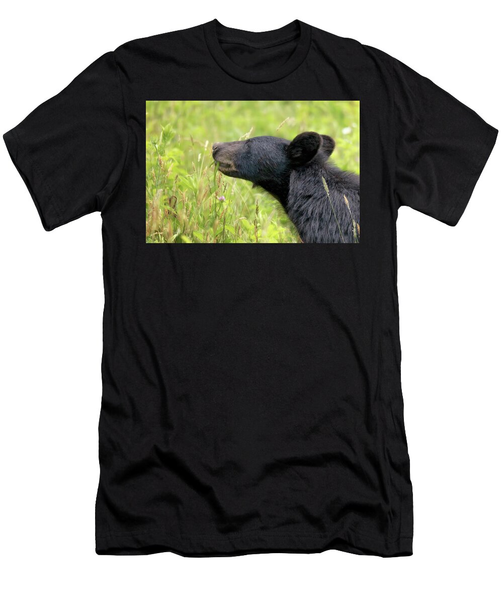 Bear T-Shirt featuring the photograph Great Smoky Mountains Black Bear - Eat Your Vegetables by Susan Rissi Tregoning
