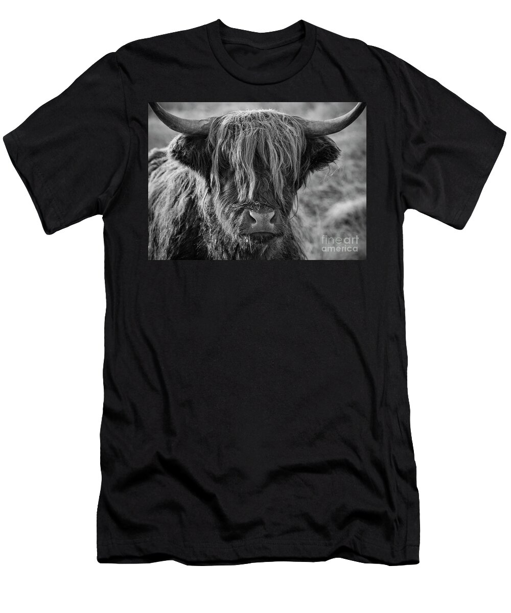 Highland Cow T-Shirt featuring the photograph Frosty face - Highland Cow by Neale And Judith Clark