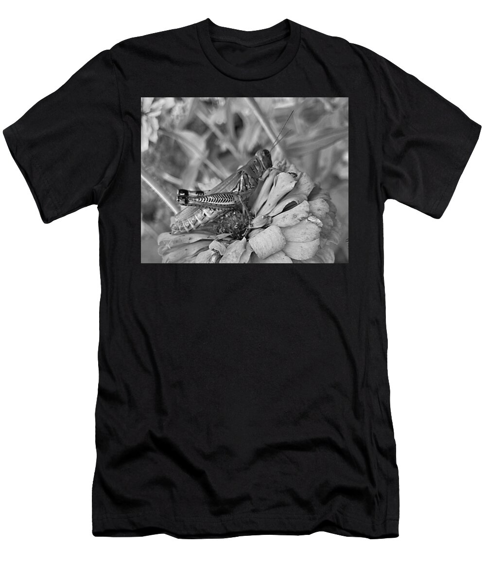 Grasshopper T-Shirt featuring the photograph Hopper BW by Lee Darnell