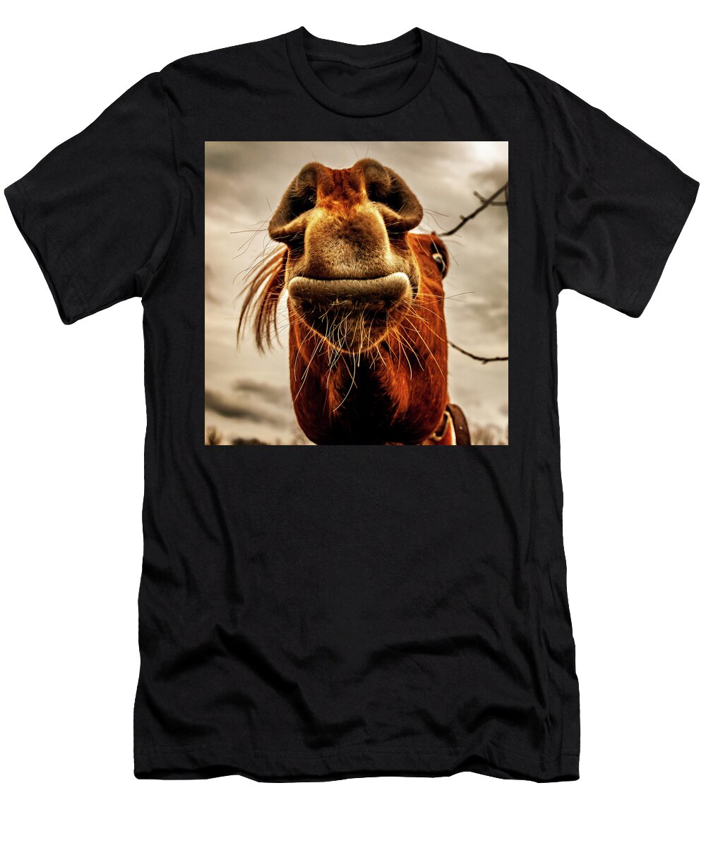 Horses New Jersey Medford T-Shirt featuring the photograph Horse Head Mr. Ed by Louis Dallara