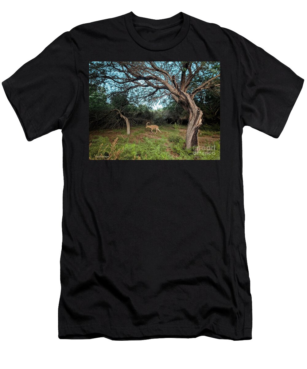 Ibex T-Shirt featuring the digital art Ibex in the Negev by Constance Woods