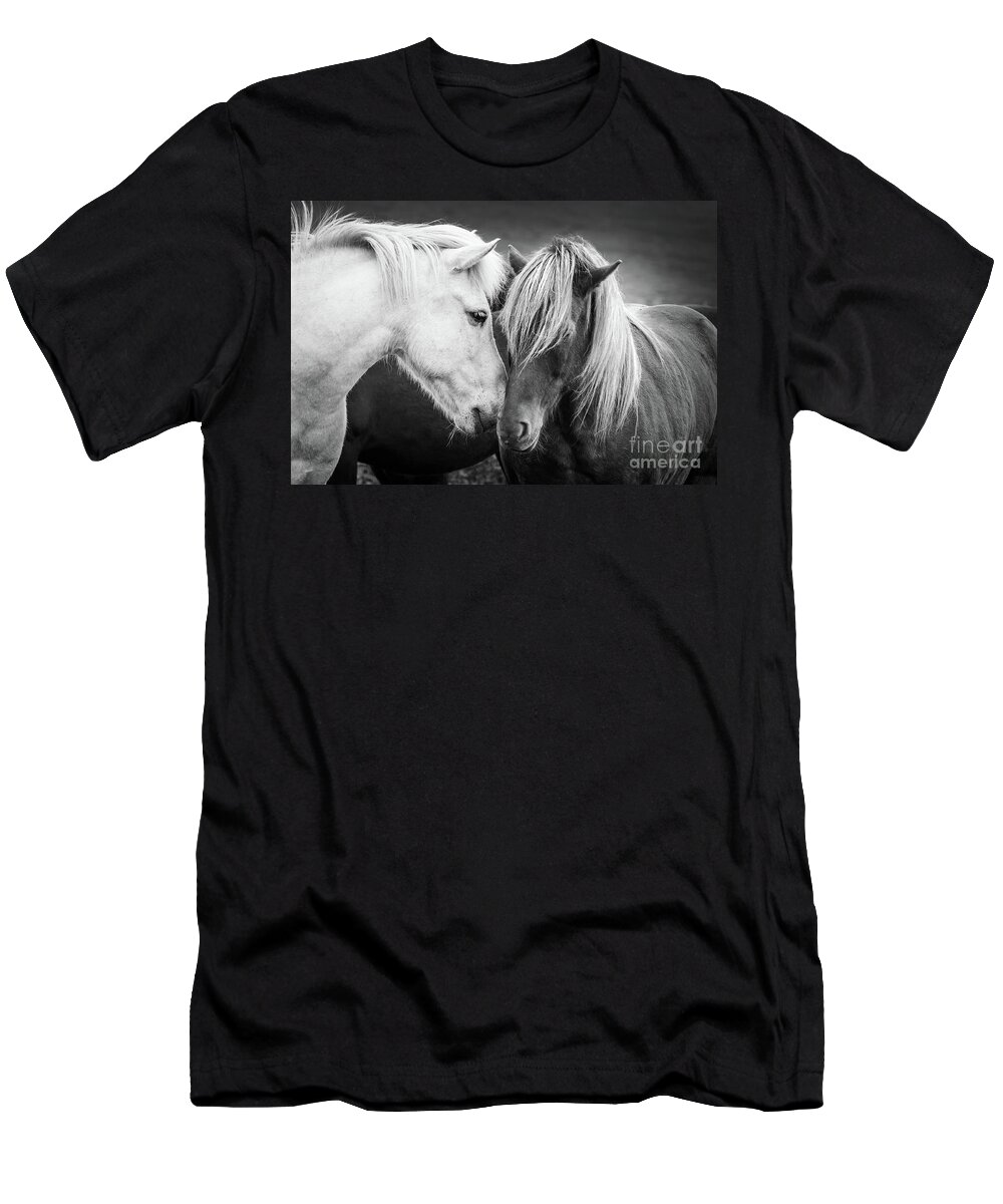 Horses T-Shirt featuring the photograph Icelandic horses, black and white by Delphimages Photo Creations