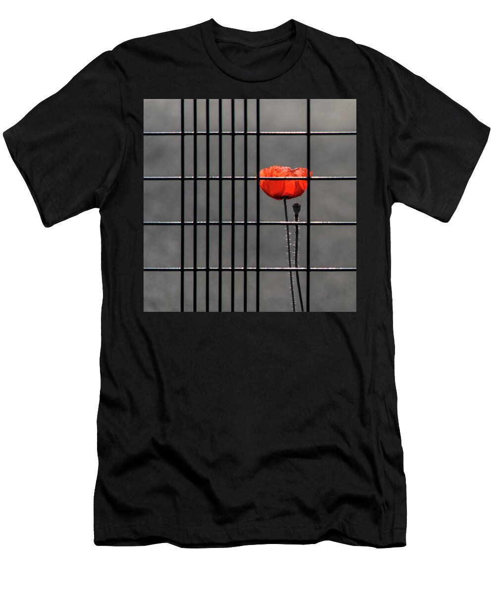 Poppy T-Shirt featuring the photograph Square - Imprisoned Poppy by Stuart Allen
