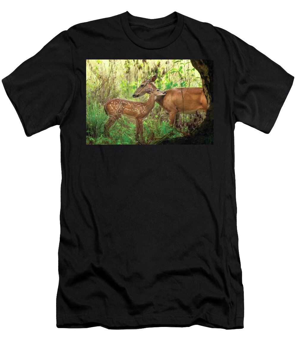 Deer T-Shirt featuring the photograph Intimate Wildlife A Mother Deer and Fawn in Riverbend Park Jupit by Kim Seng