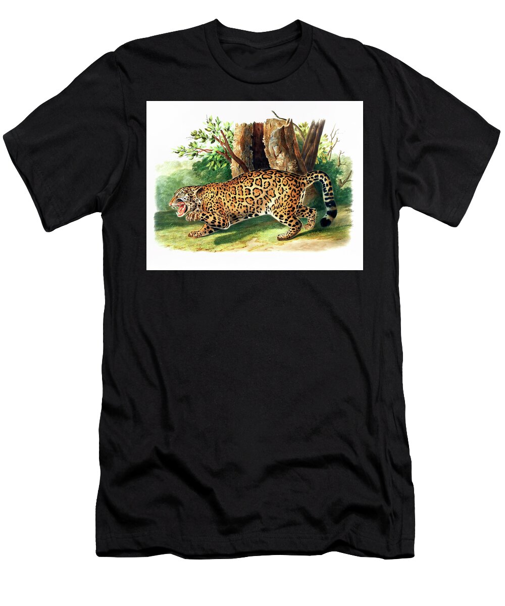 Drawing T-Shirt featuring the drawing Jaguar by John Woodhouse Audubon