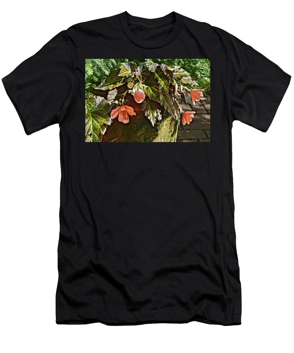 Begonia T-Shirt featuring the photograph July Garden Visit Orange Begonia by Janis Senungetuk