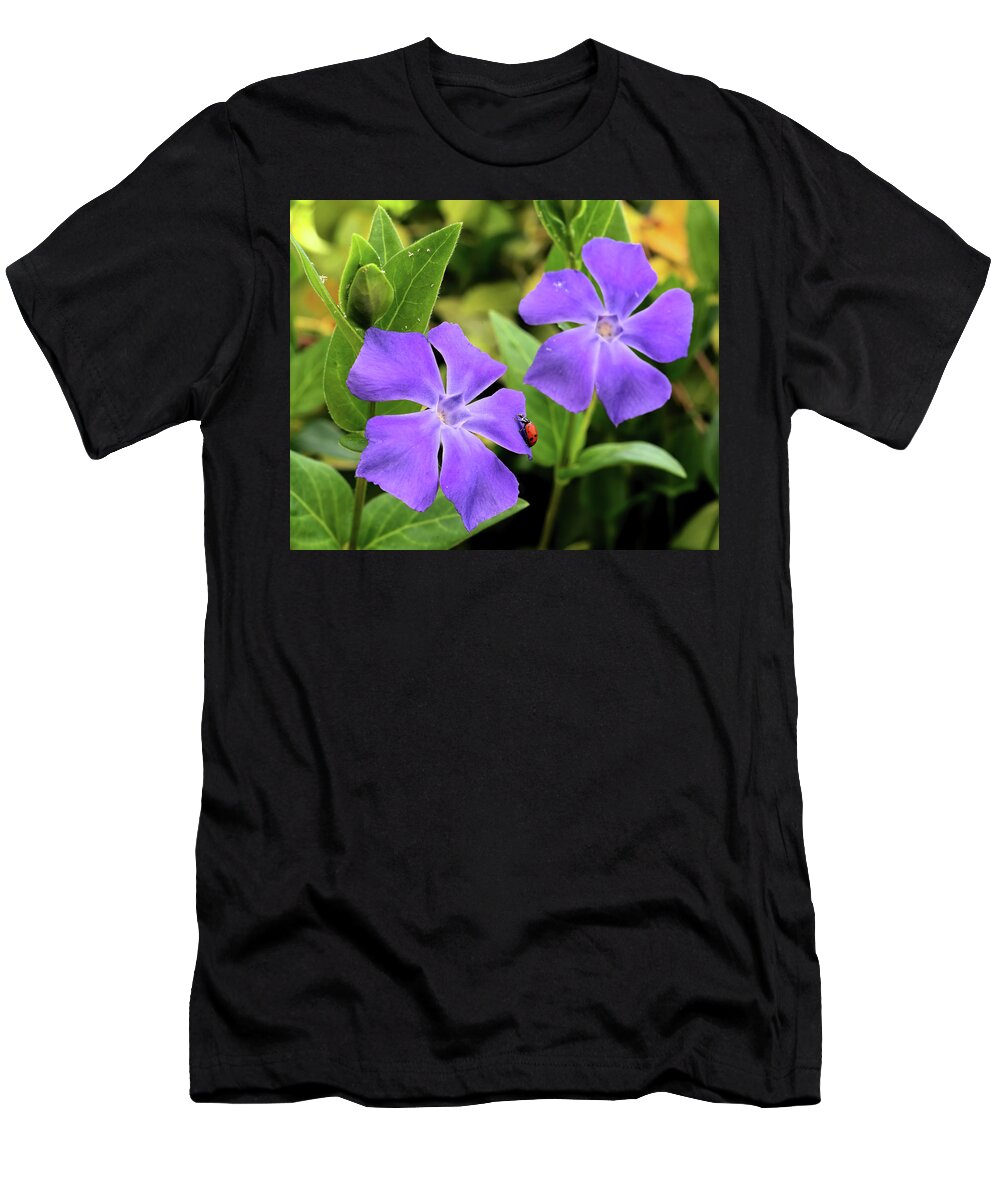 Lady Bug T-Shirt featuring the photograph Lady Bug on Vinca by Bob Falcone