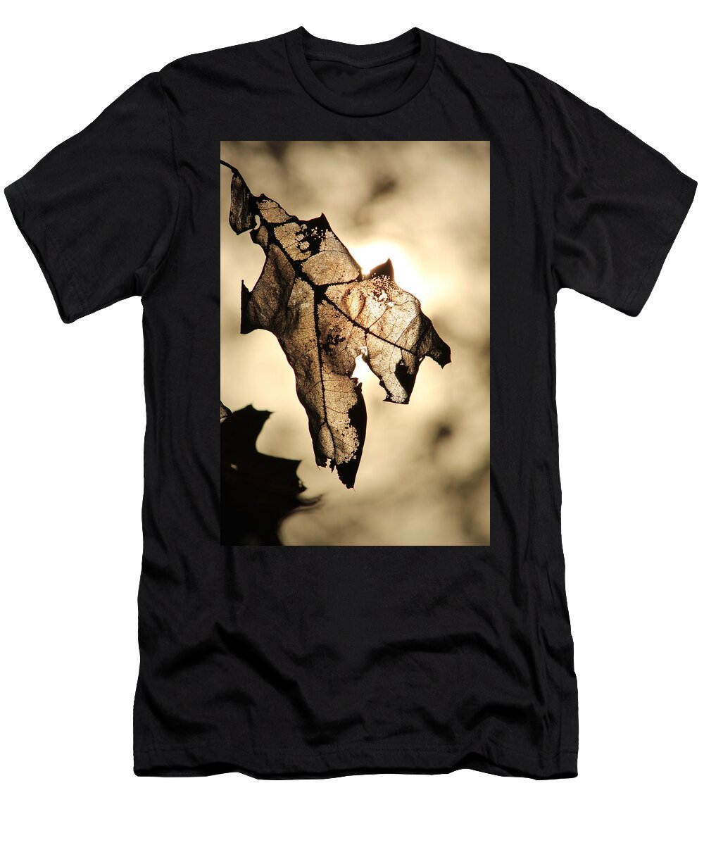 Jane Ford T-Shirt featuring the photograph Leaf in fall by Jane Ford