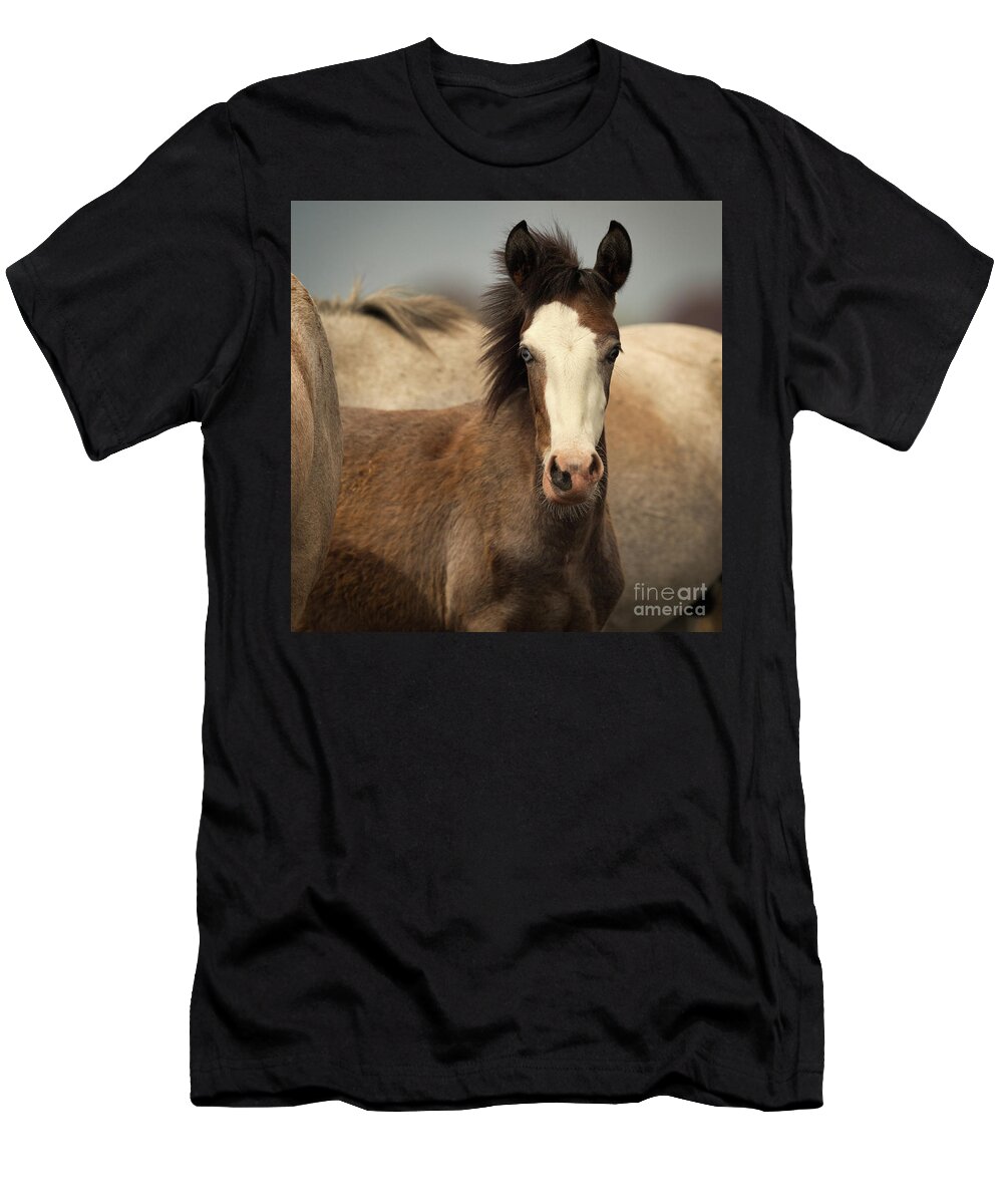 Cute Foal T-Shirt featuring the photograph Lil Blu by Shannon Hastings