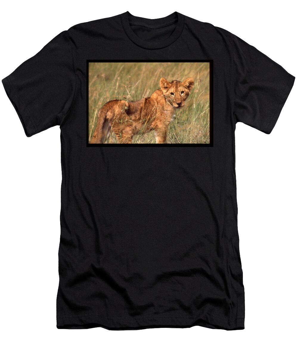 Africa T-Shirt featuring the photograph Lion Cub Looking at Photographer by Russel Considine