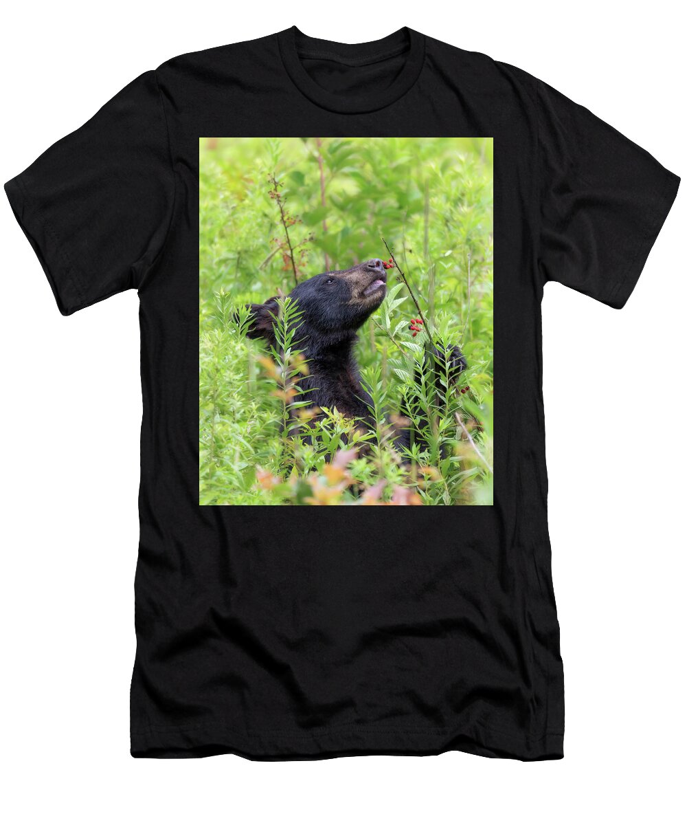Black Bear T-Shirt featuring the photograph Little Berry Eater - Black Bear Yearling by Susan Rissi Tregoning