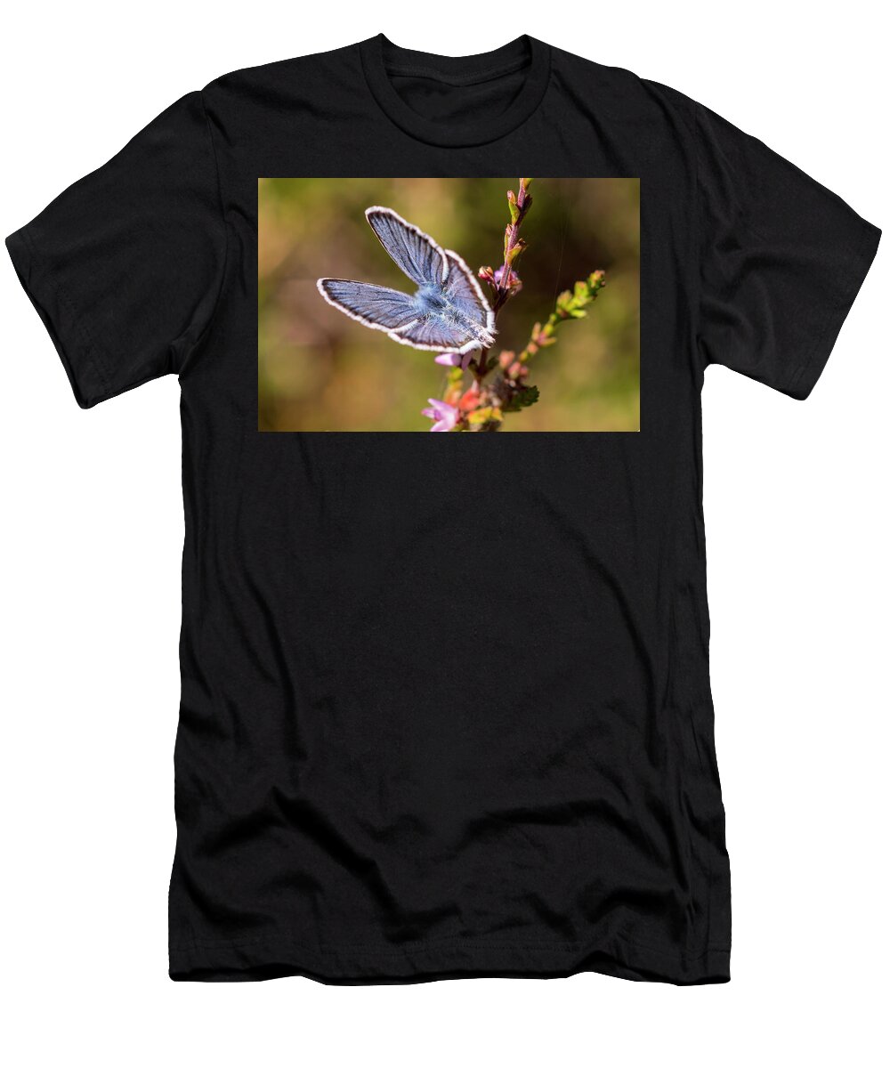 Butterfly T-Shirt featuring the photograph Little Blue Wings by Maria Dimitrova