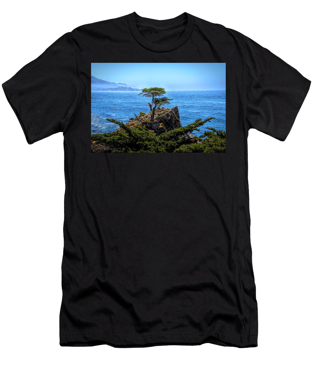 Lone Cypress T-Shirt featuring the photograph Lone Cypress After The Storm by Barbara Snyder