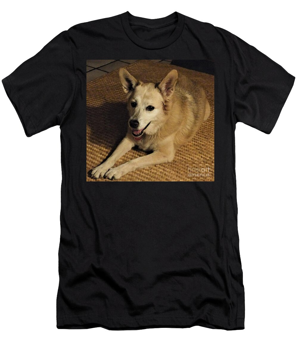 Tan Dog On Straw Mat T-Shirt featuring the photograph Loving Company by Rosanne Licciardi