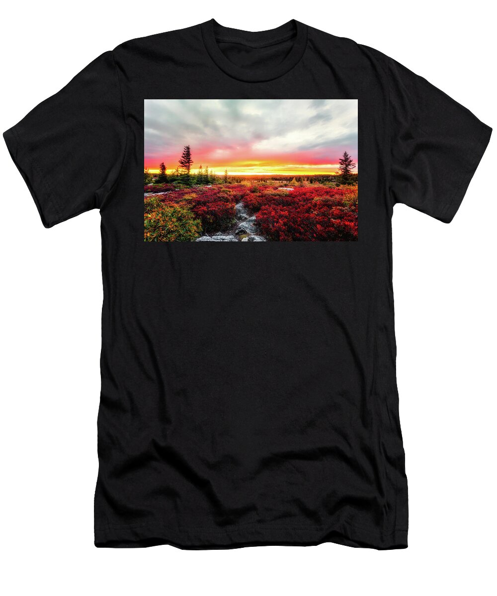 Landscape T-Shirt featuring the photograph Magic of Autumn by C Renee Martin