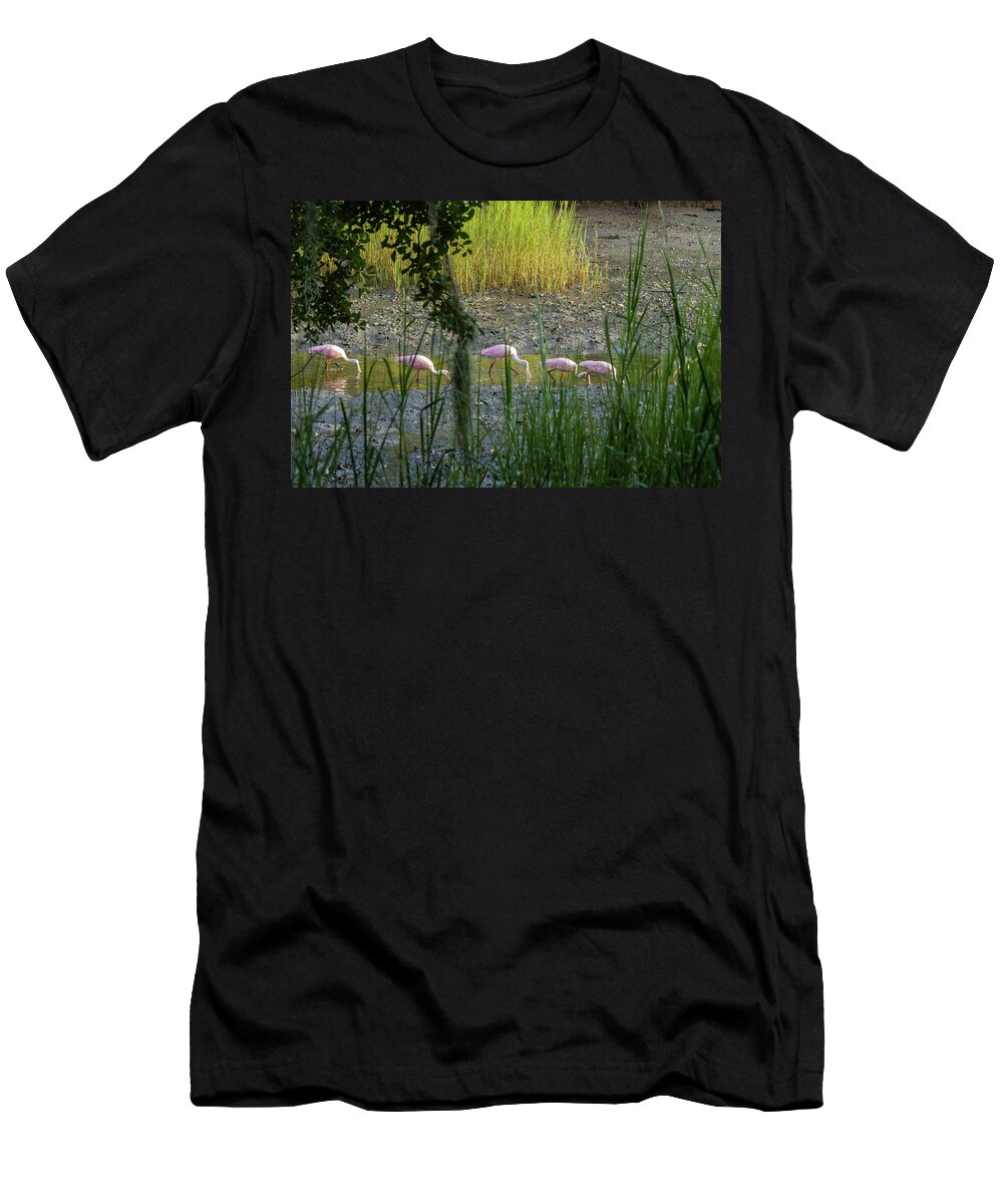 Roseate Spoonbill T-Shirt featuring the photograph Marsh Highway by Patricia Schaefer