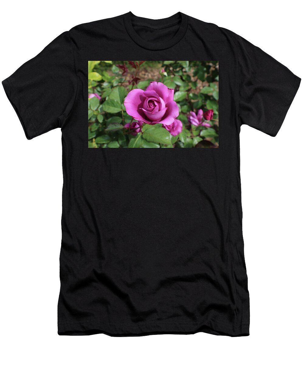 Mauve T-Shirt featuring the photograph Mauve Rose Close Up by Kenneth Pope