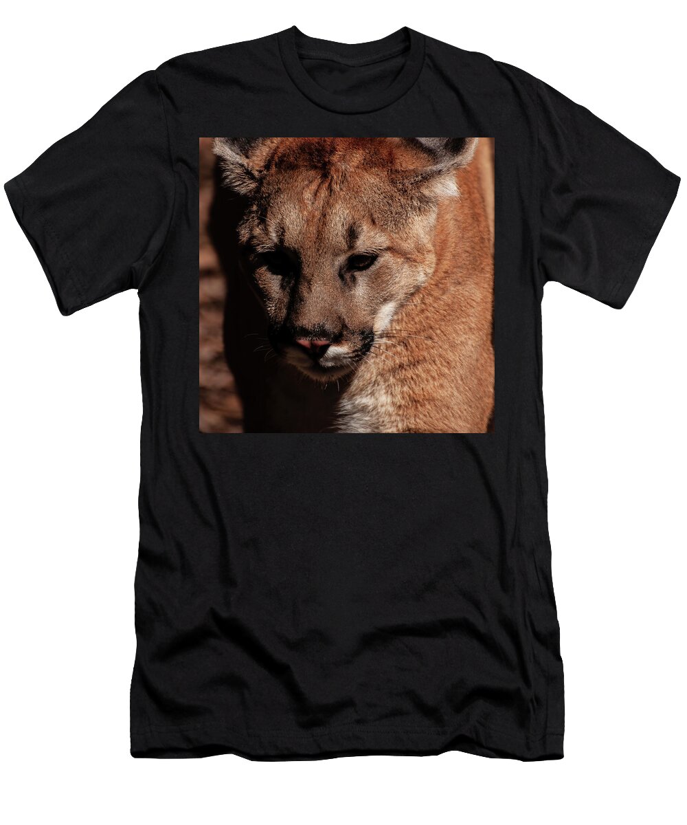 Mountain Lion Portrait T-Shirt featuring the photograph Mountain lion portrait 002 by Flees Photos