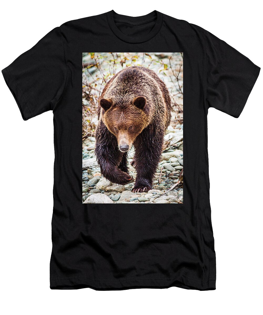 Wildlife T-Shirt featuring the photograph Mr. Grizz by Claude Dalley