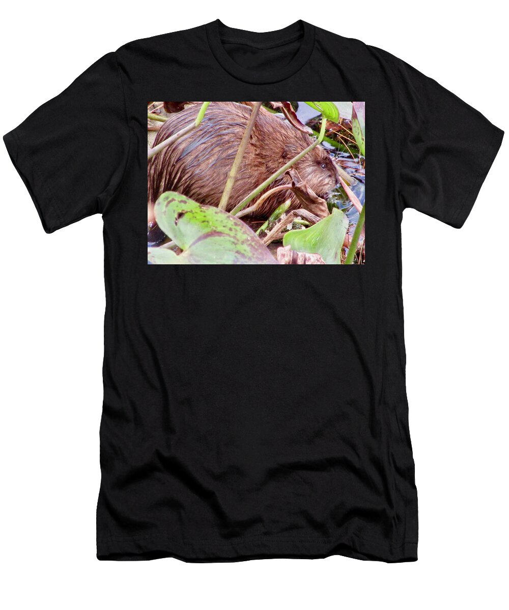 Muskrat T-Shirt featuring the photograph Muskrat by Stephanie Moore