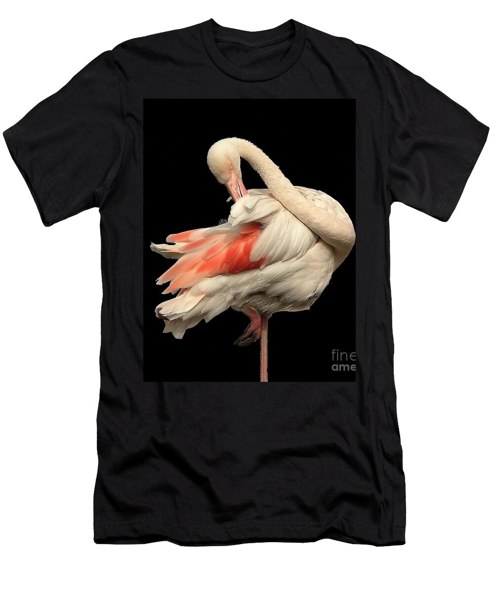 Cotton T-shirt - Black/flamingos - Men