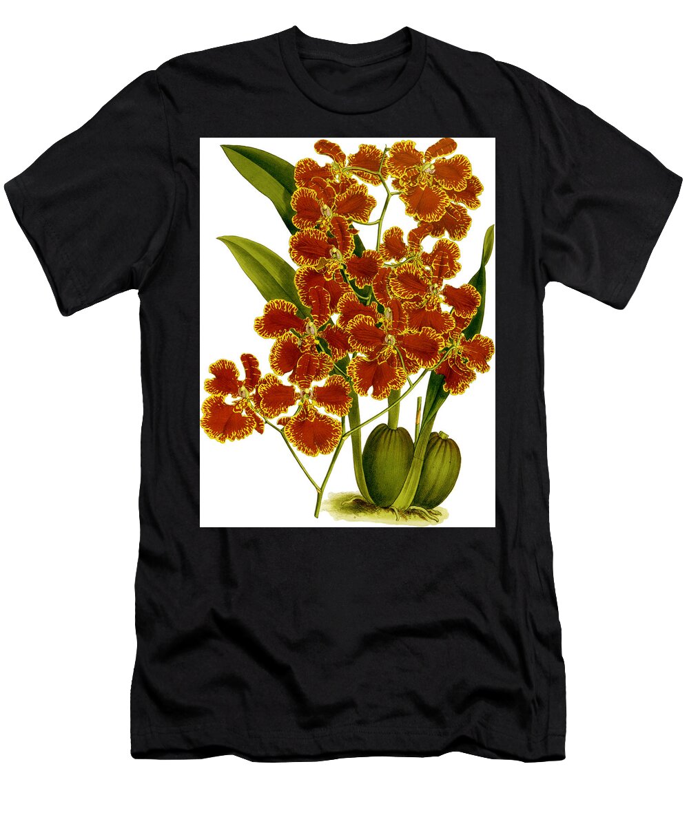 Oncidium T-Shirt featuring the mixed media Oncidium Forbesii Orchid by World Art Collective
