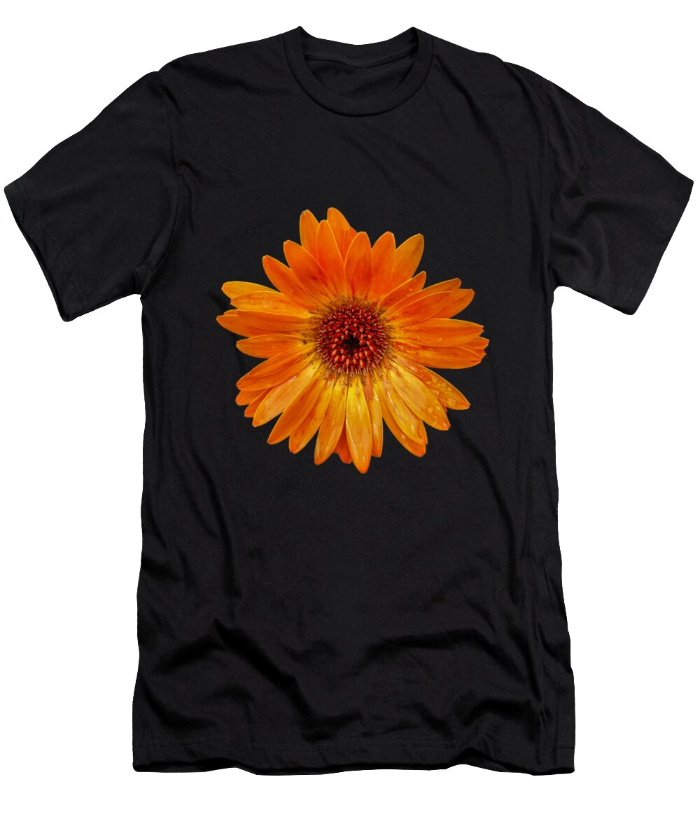 Daisy T-Shirt featuring the photograph Orange Daisy - Black Background by Tony Baca