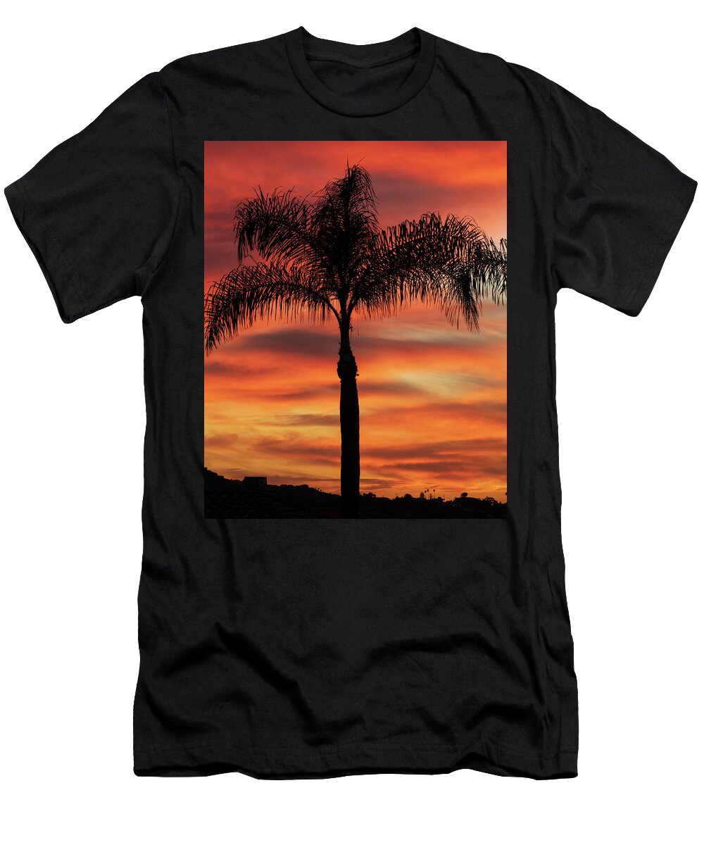 Palm Tree T-Shirt featuring the photograph Palm at Sunset by Dan McGeorge