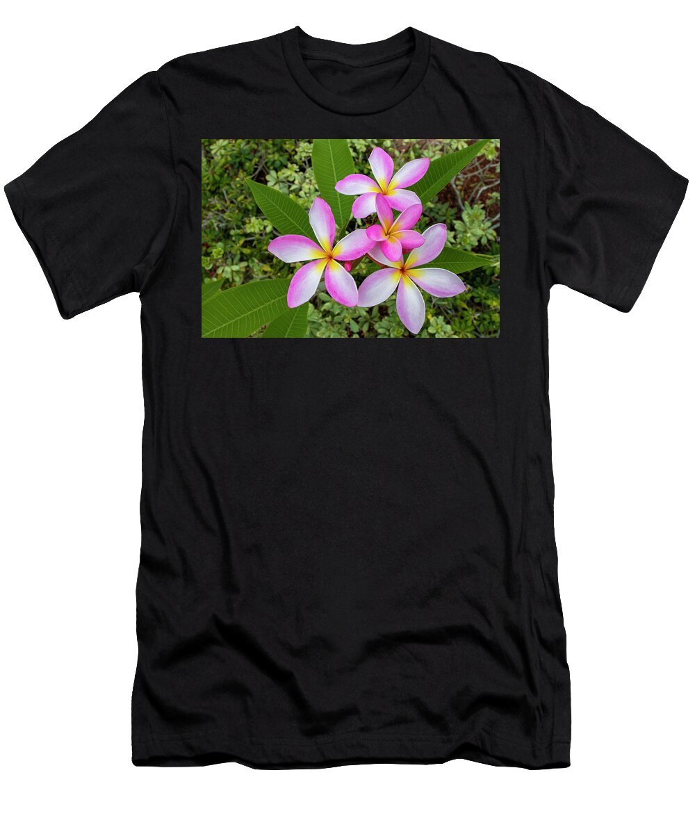 Flower T-Shirt featuring the photograph Pink Plumeria Flower by Blair Damson