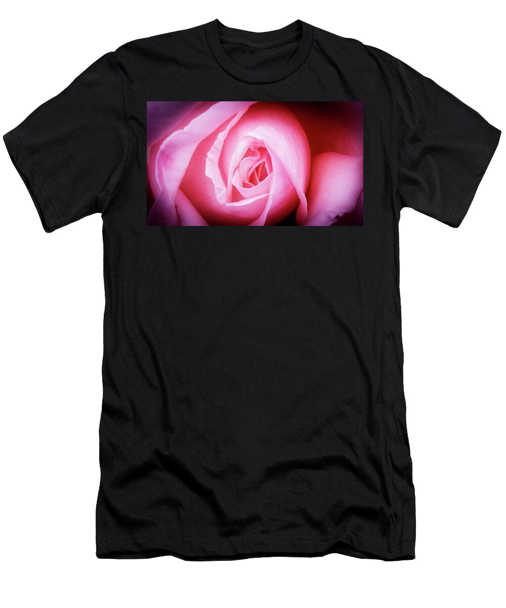 Pink Rose T-Shirt featuring the photograph Pink Rose by David Morehead