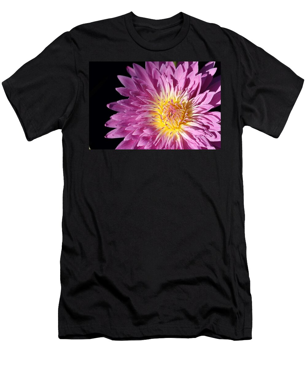 Water Lily T-Shirt featuring the photograph Pink Splendor by Mingming Jiang