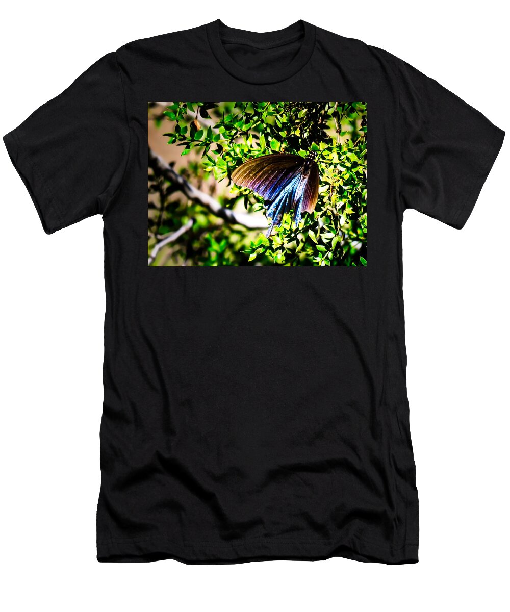 Insect T-Shirt featuring the photograph Pipevine Swallowtail in the Desert by Judy Kennedy