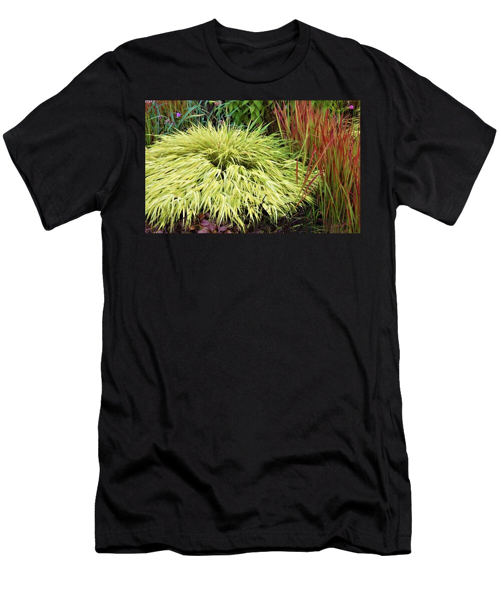 Green T-Shirt featuring the photograph Plants of Summer by James Cousineau