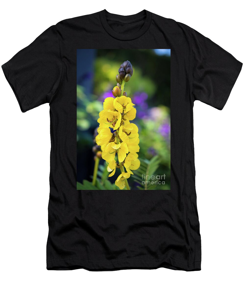 Flower T-Shirt featuring the photograph Popcorn Cassia 'Senna didymobotrya' by Abigail Diane Photography