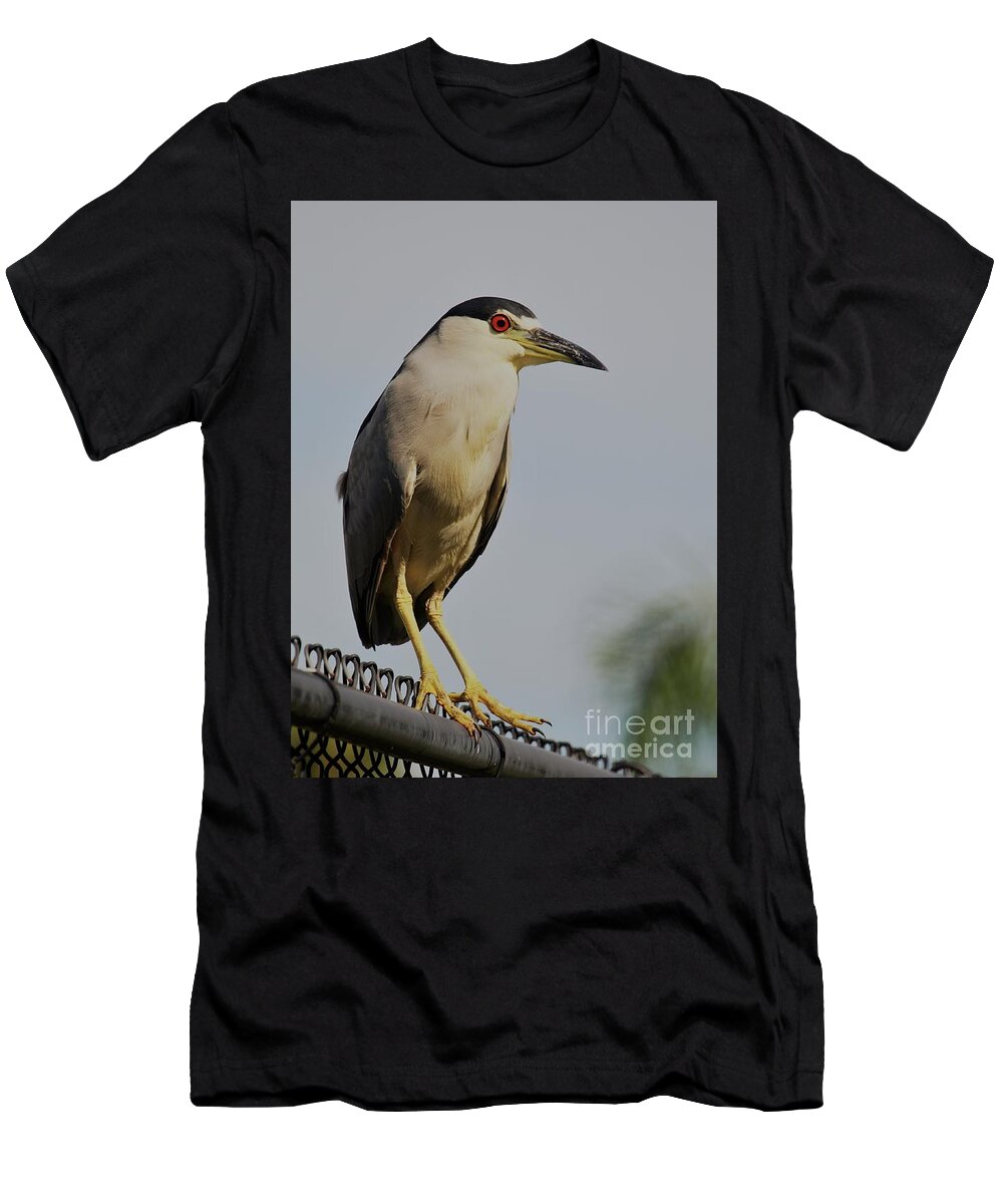 Herons T-Shirt featuring the photograph Portrait of a Black Crowned Night Heron by Joanne Carey