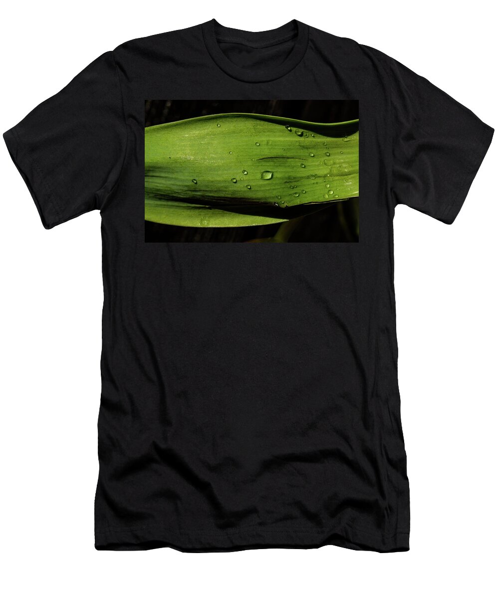 Photography T-Shirt featuring the photograph Rain Storm in Green by Glenn DiPaola