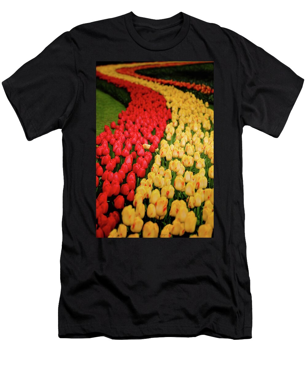 #holland #keukenhof #netherlands #tulip #galagan #edwardgalagan #edgalagan #nederland #dutch #top #topphotography #artphotography #artphotographer  #art #canon #flower #instagram T-Shirt featuring the photograph Red and Yellow by Edward Galagan