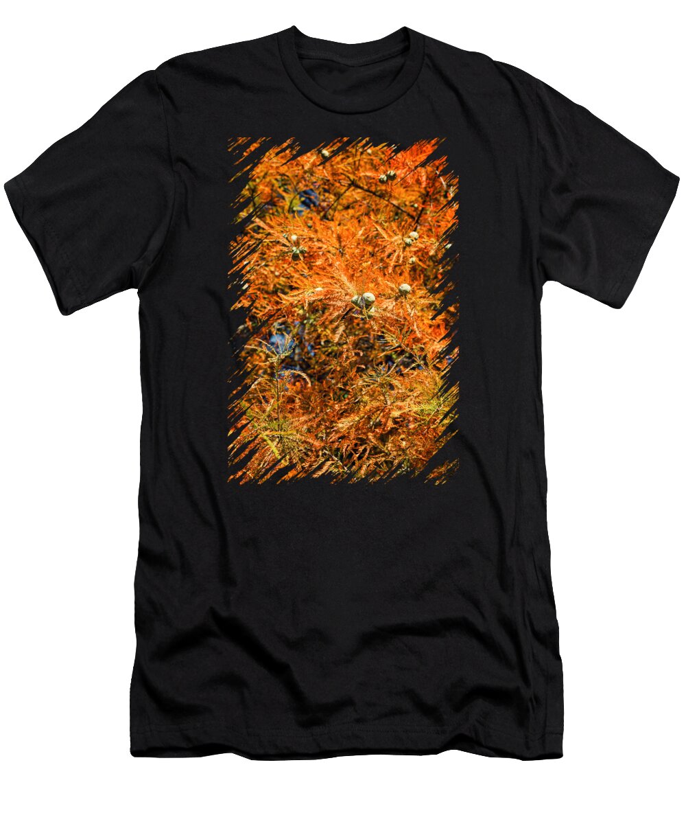 Fall T-Shirt featuring the photograph Red Leaves in Autumn on Pine Tree by Andreea Eva Herczegh