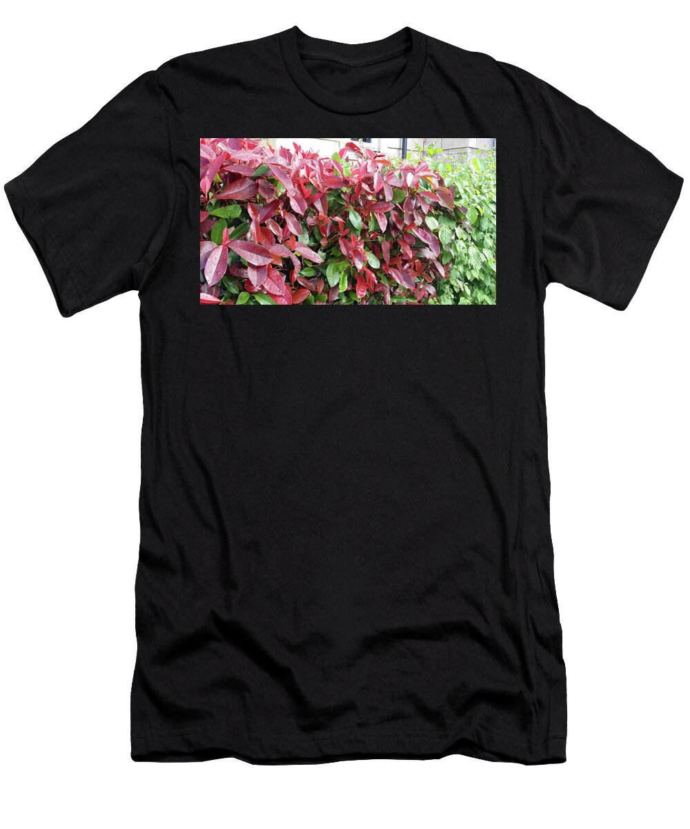 Plant Images T-Shirt featuring the painting Red Leaves in Cornwall by Roxy Rich