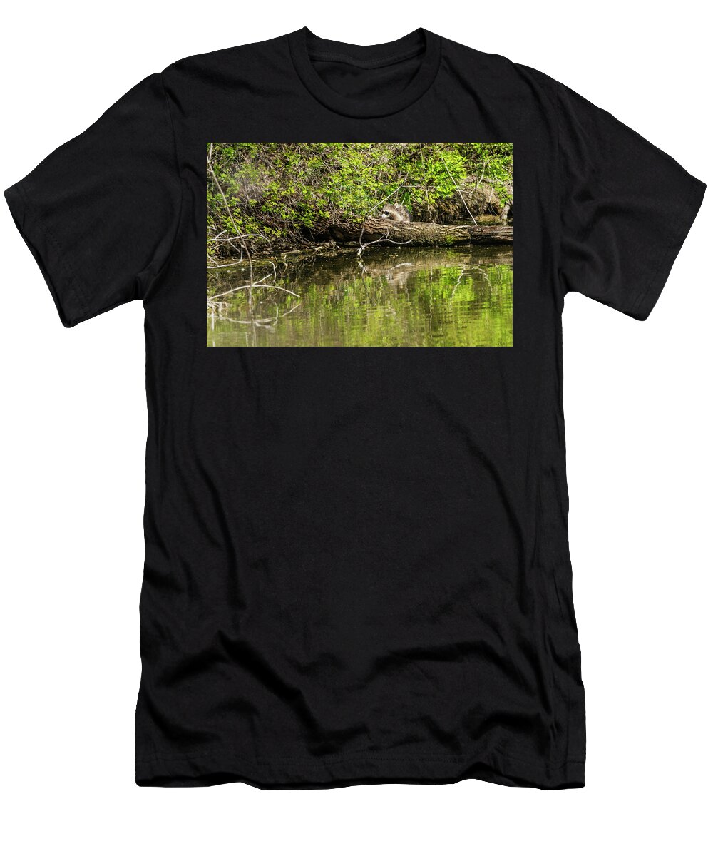 Heron Haven T-Shirt featuring the photograph Rory Raccoon by Ed Peterson