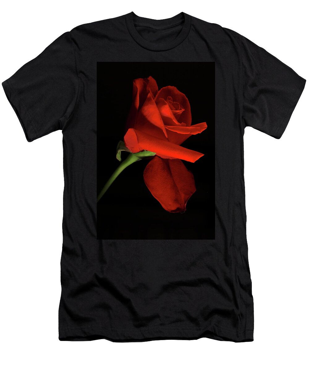Macro T-Shirt featuring the photograph Rose 8702 by Julie Powell