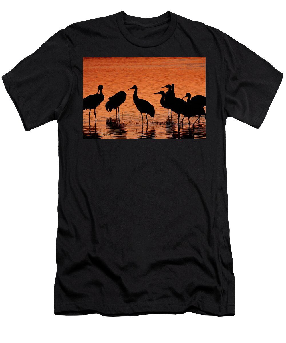Usa T-Shirt featuring the photograph Sandhills In Their Golden Hours by Jennifer Robin